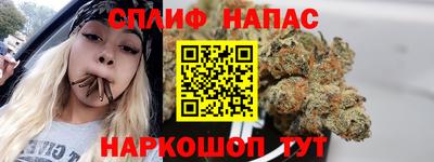 гашик Краснодар