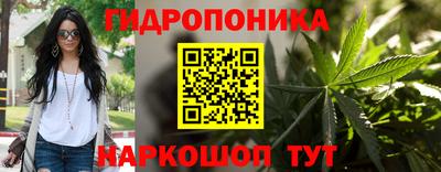 гашик Краснодар