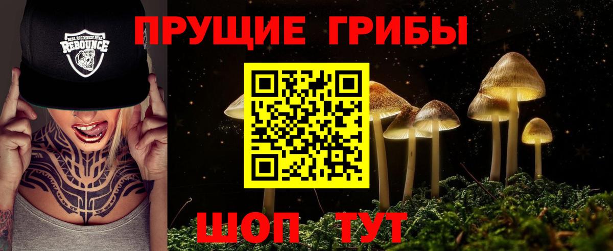 Галлюциногенные грибы прущие грибы Слободской